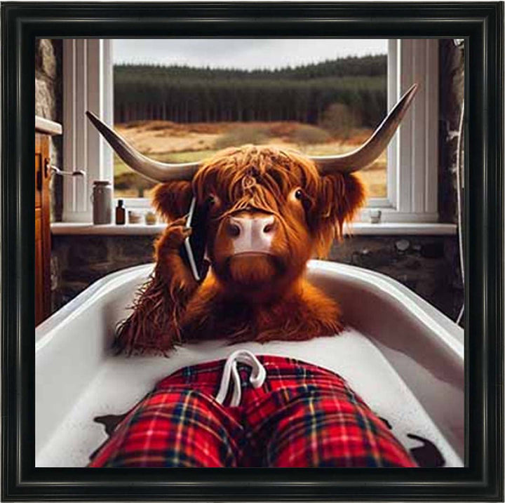 AN2137 Highland Cow On Phone Taking Bath ||