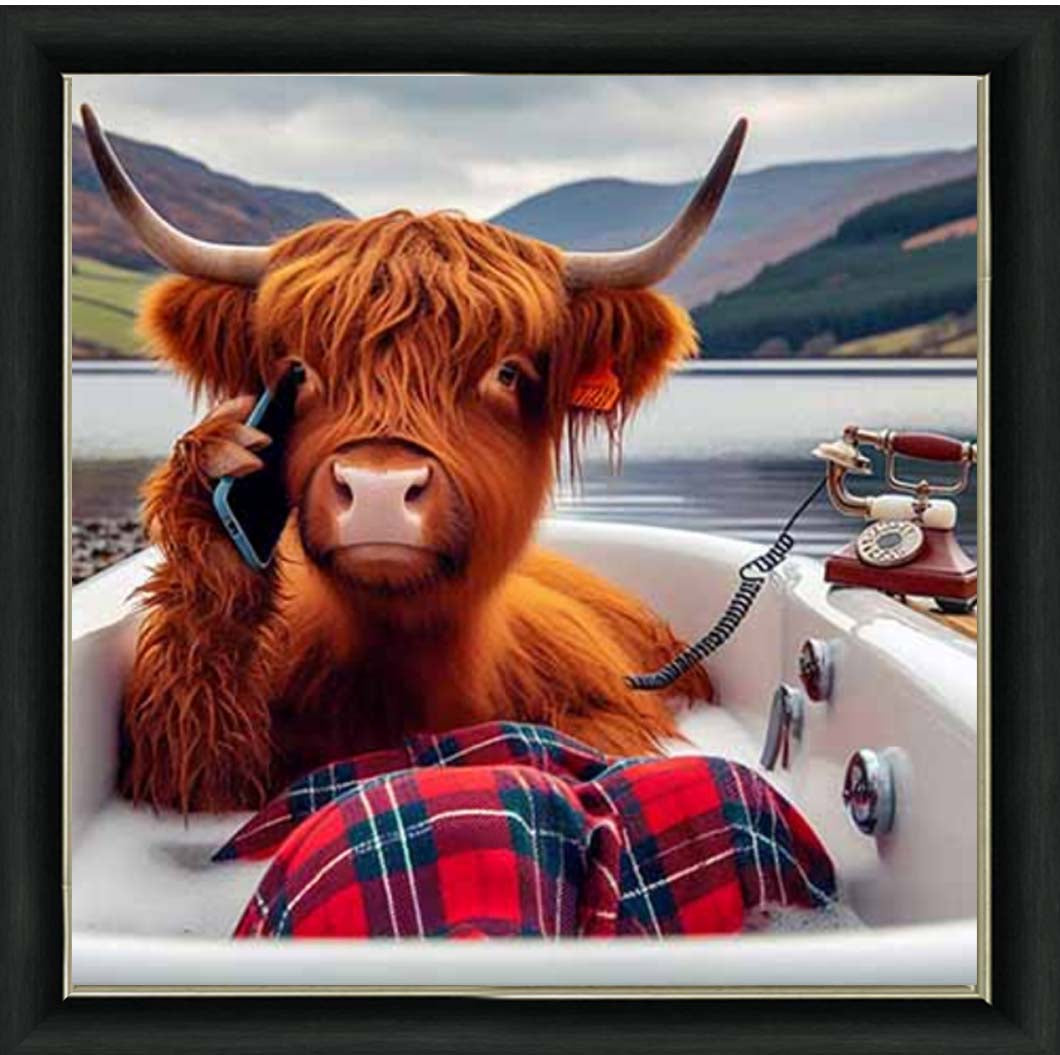 AN2138 Highland Cow On Phone Taking Bath |||