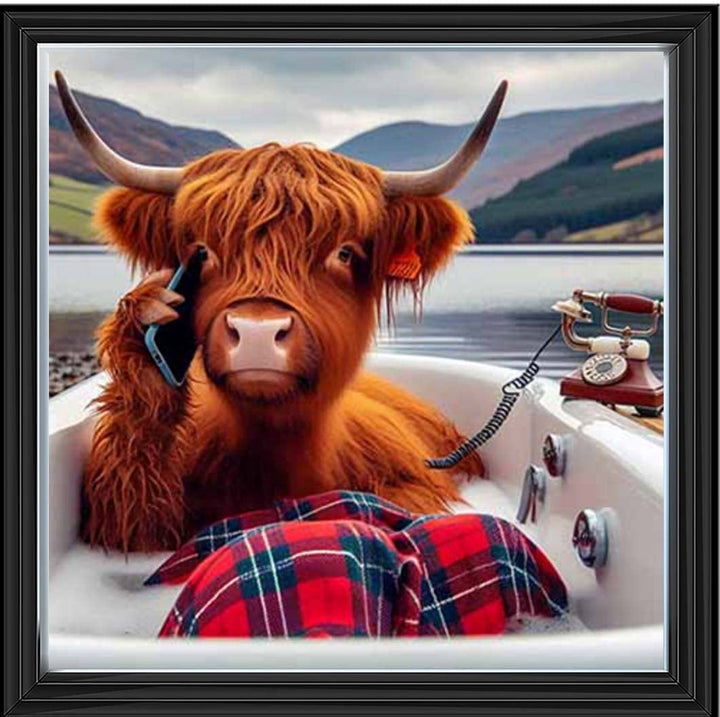 AN2138 Highland Cow On Phone Taking Bath |||