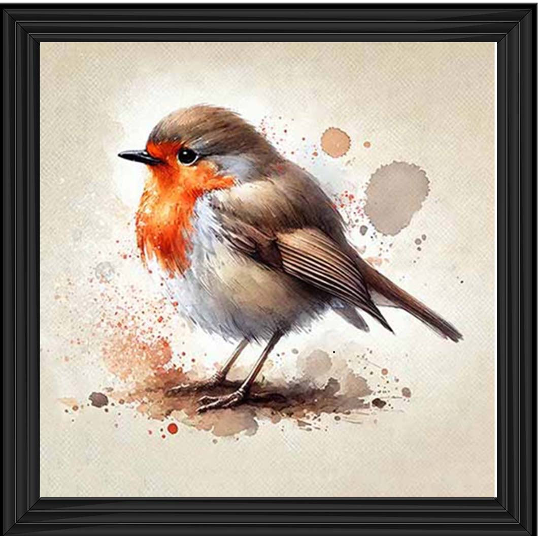 AN2155 Alone Robin ||