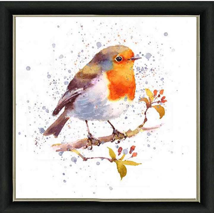 AN2156 Alone Robin White Background