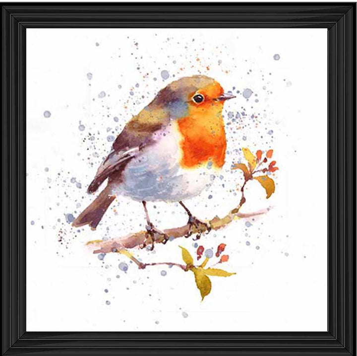 AN2156 Alone Robin White Background
