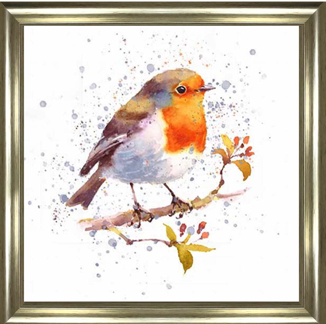 AN2156 Alone Robin White Background