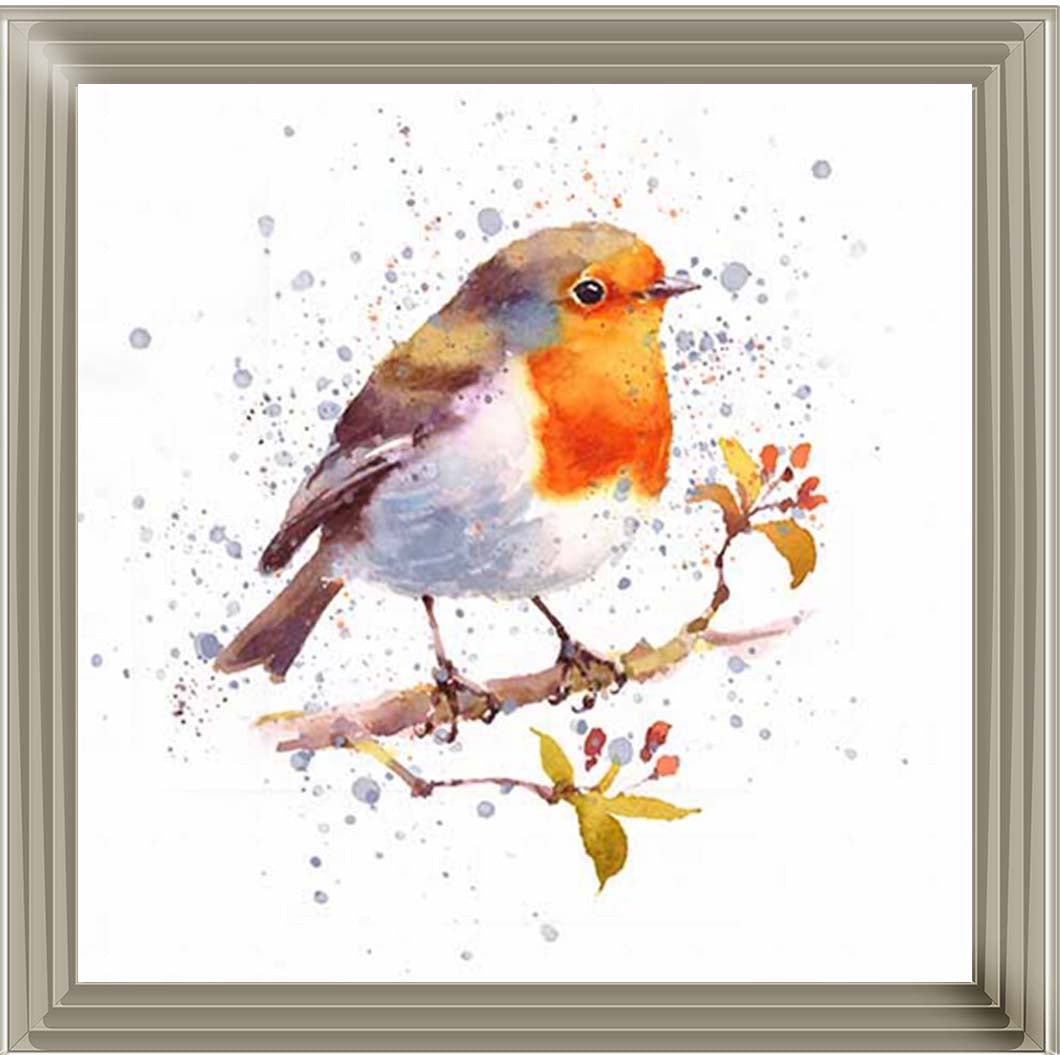 AN2156 Alone Robin White Background