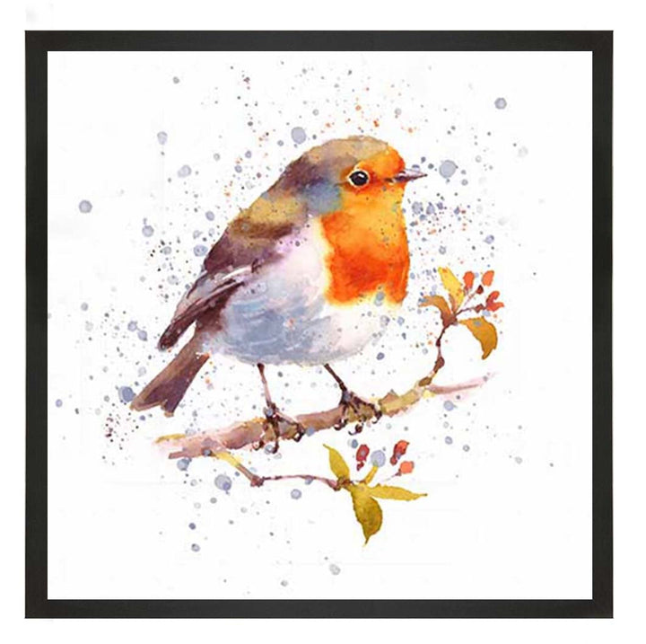 AN2156 Alone Robin White Background