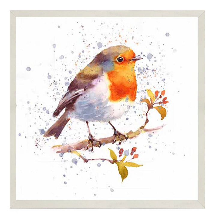 AN2156 Alone Robin White Background