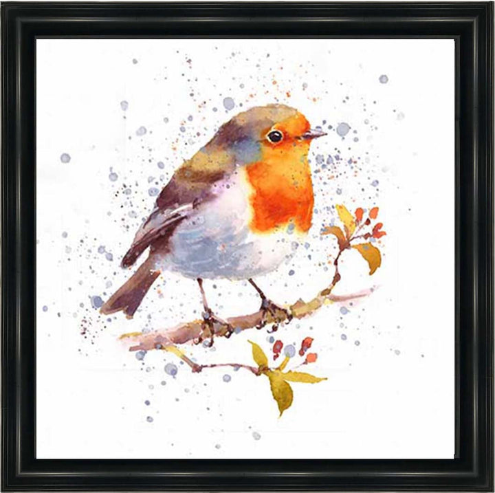 AN2156 Alone Robin White Background