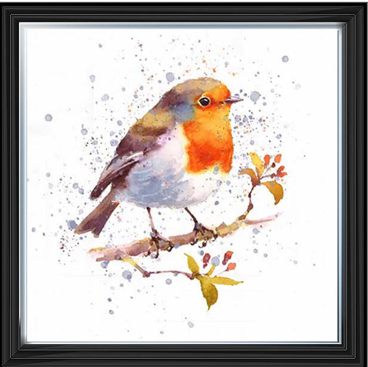 AN2156 Alone Robin White Background