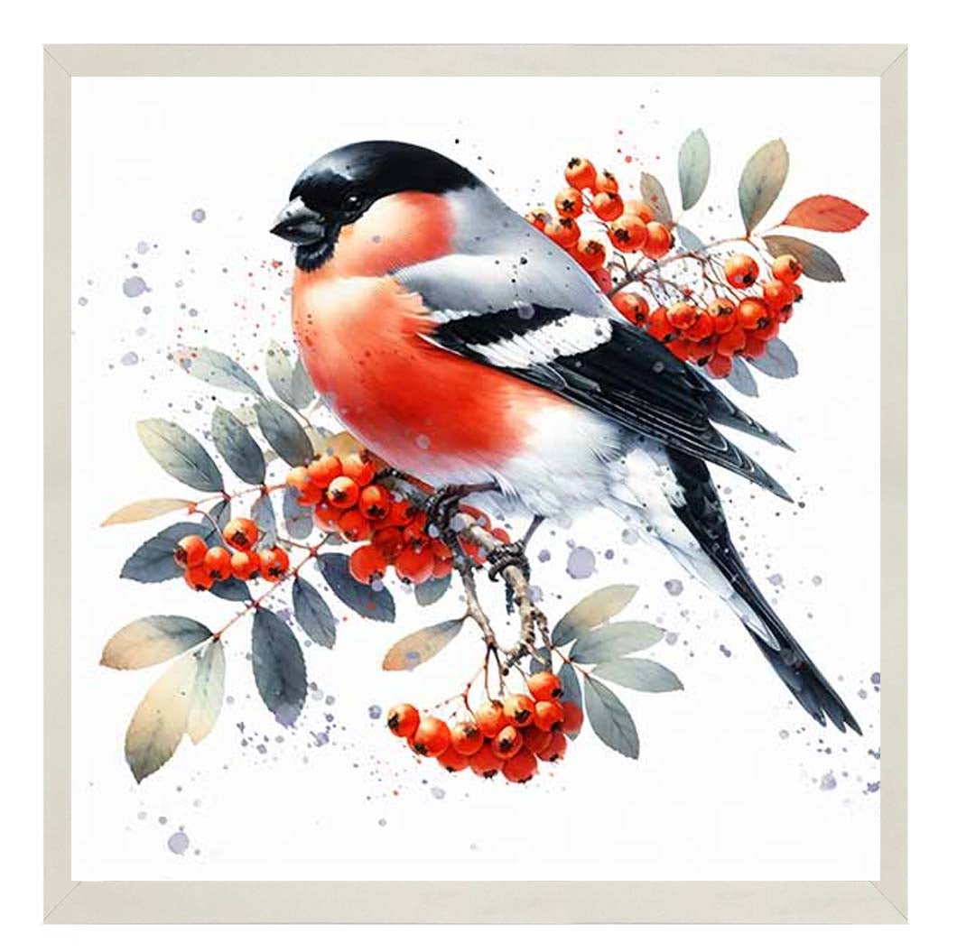 AN2157 Robin Sitting On Berry Branch