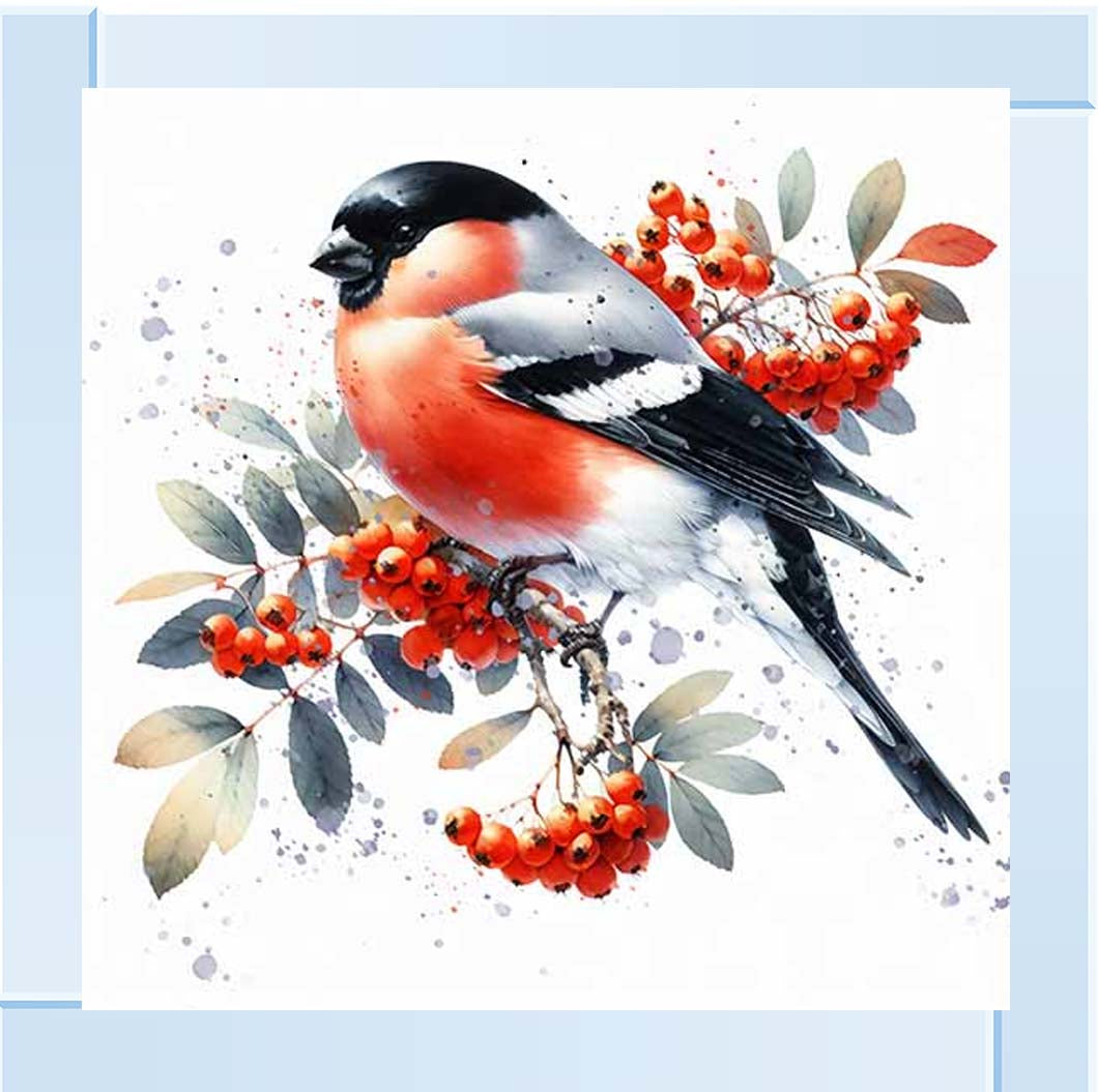 AN2157 Robin Sitting On Berry Branch