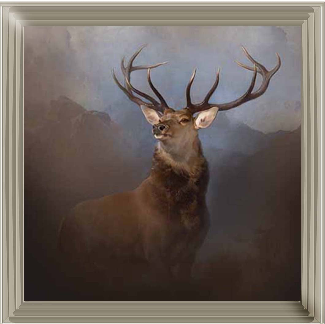 AN2161 Monarch of the Glen