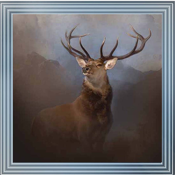 AN2161 Monarch of the Glen