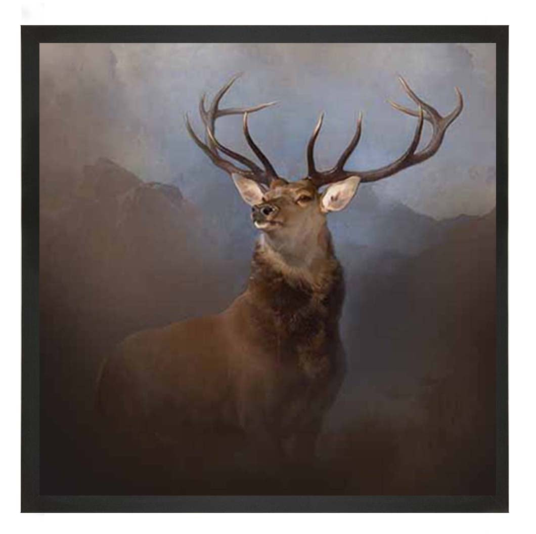 AN2161 Monarch of the Glen