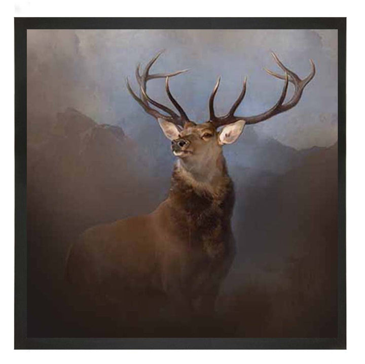 AN2161 Monarch of the Glen