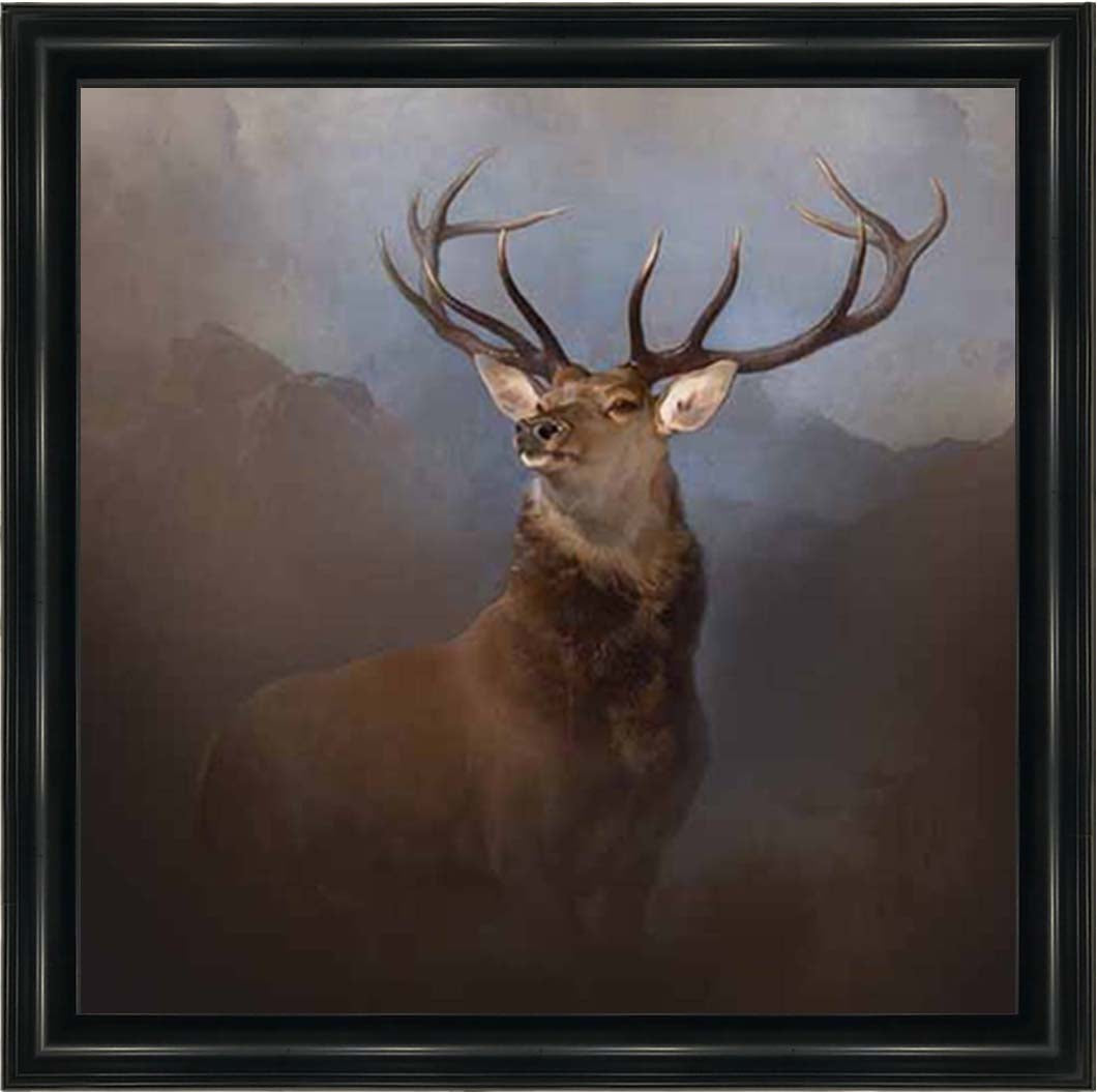AN2161 Monarch of the Glen
