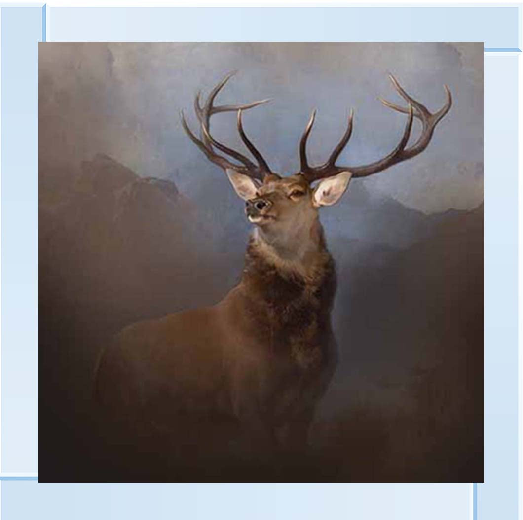 AN2161 Monarch of the Glen