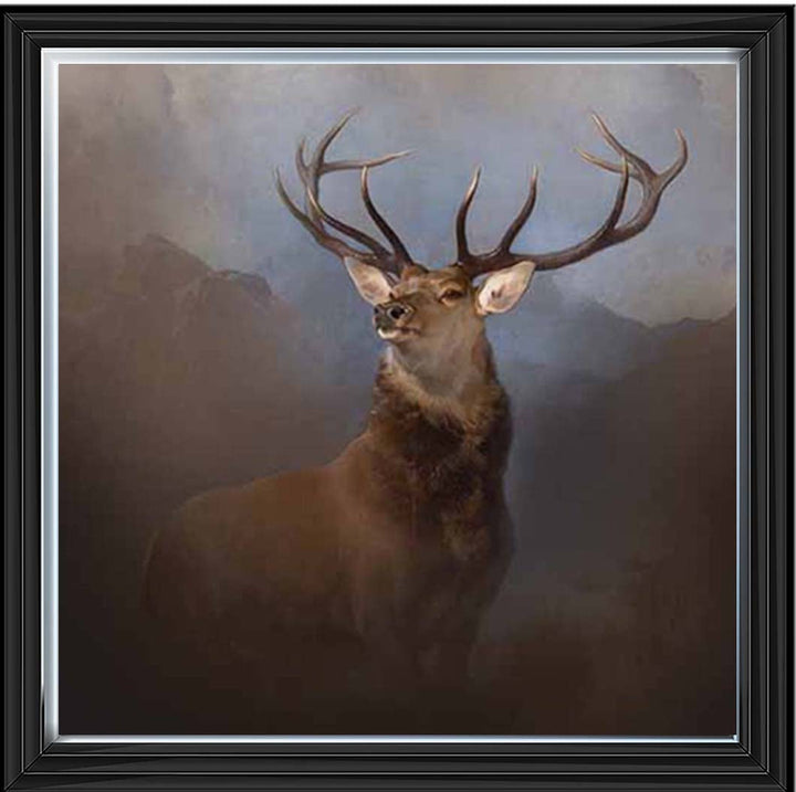 AN2161 Monarch of the Glen