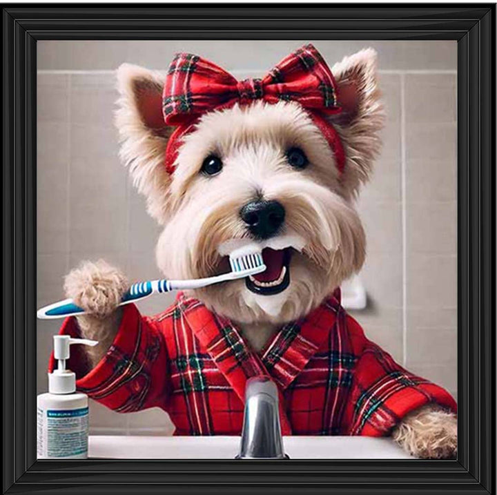 AN2195 Westie Brushing Teath