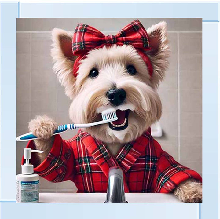 AN2195 Westie Brushing Teath
