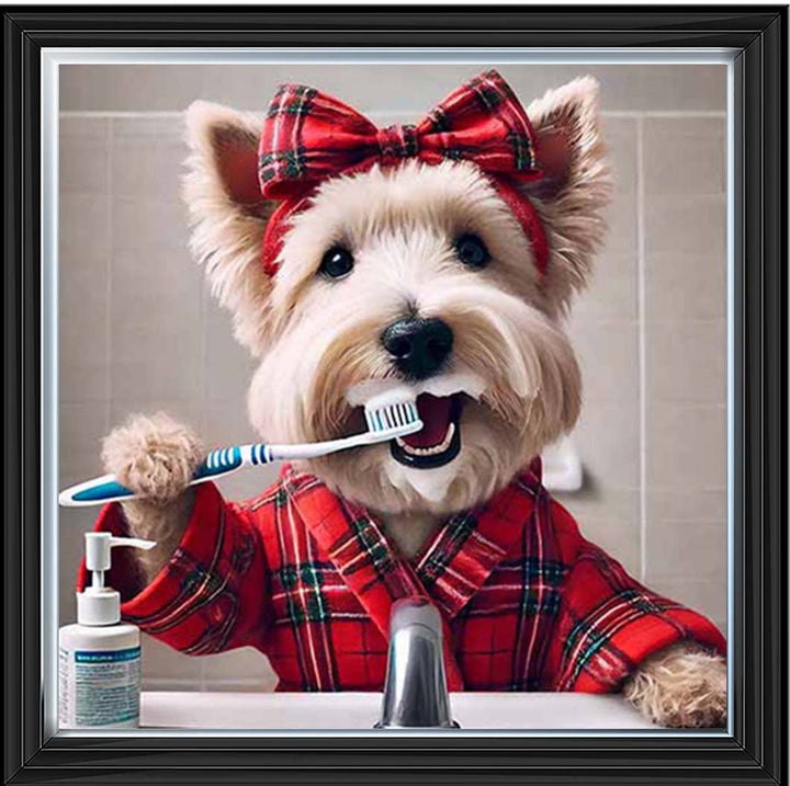 AN2195 Westie Brushing Teath