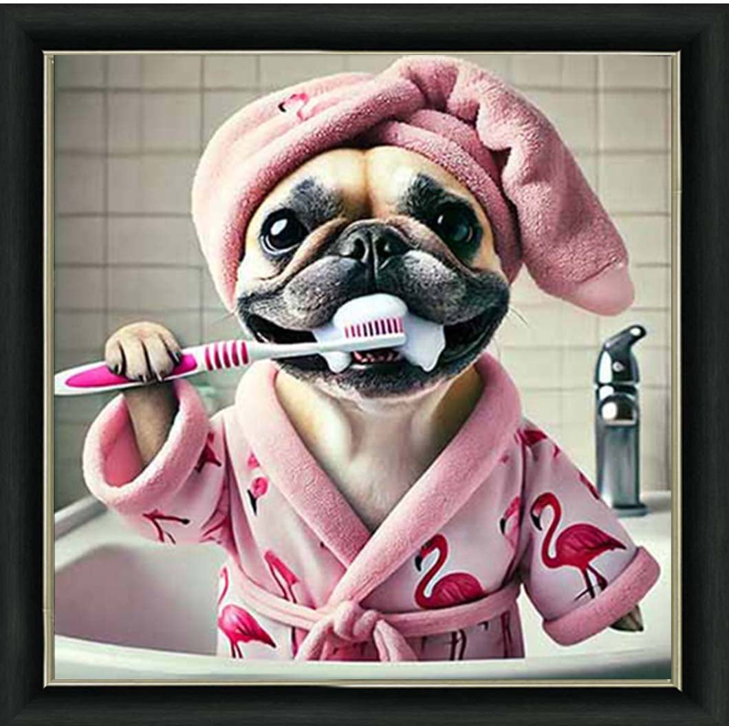 AN2196 Pug Brushing Teath