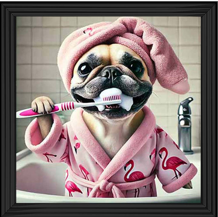 AN2196 Pug Brushing Teath