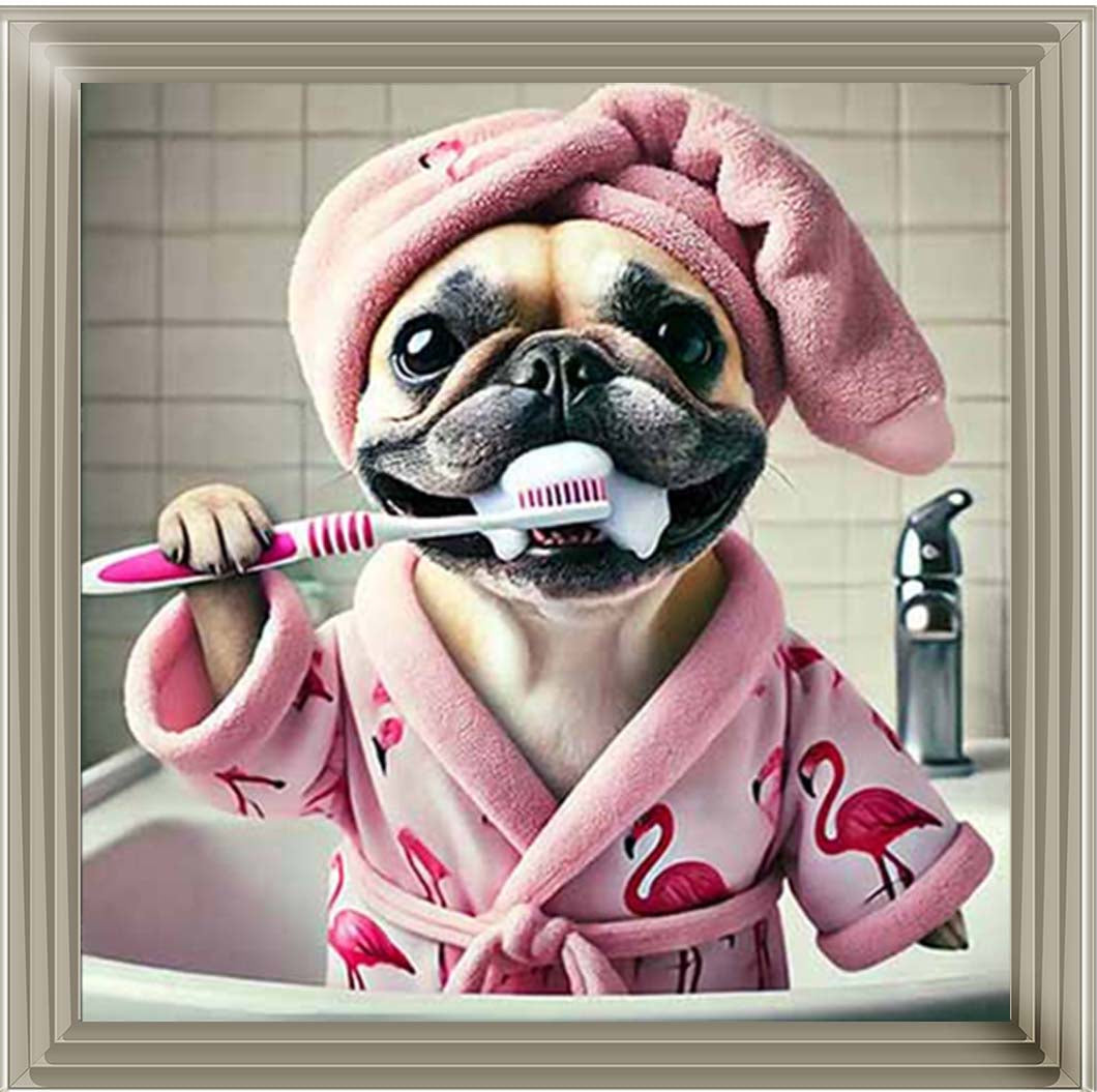 AN2196 Pug Brushing Teath