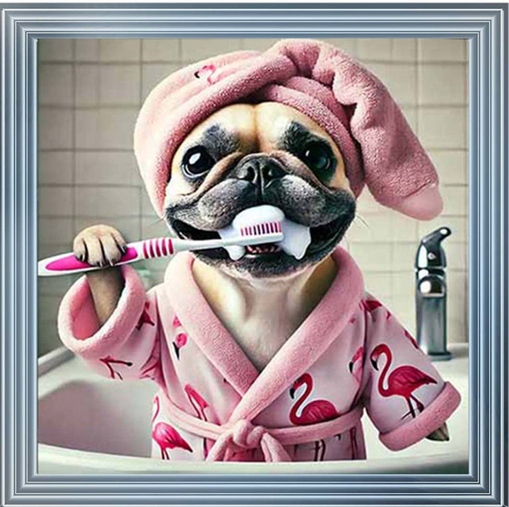 AN2196 Pug Brushing Teath