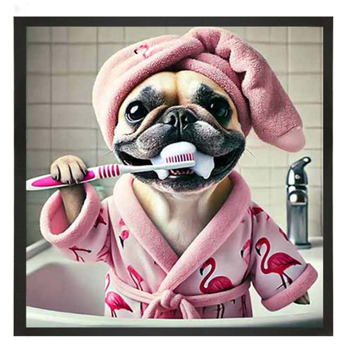 AN2196 Pug Brushing Teath