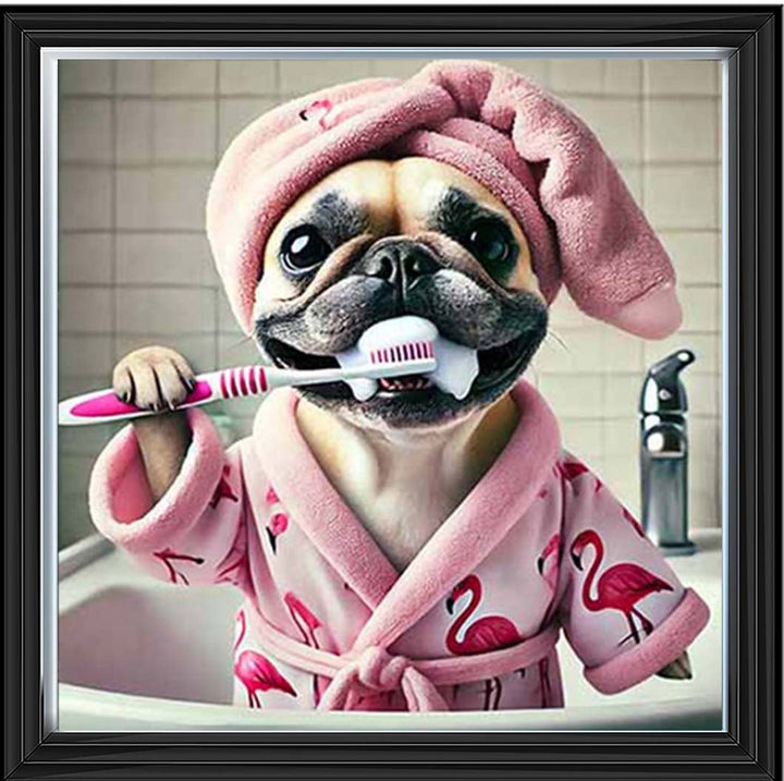 AN2196 Pug Brushing Teath