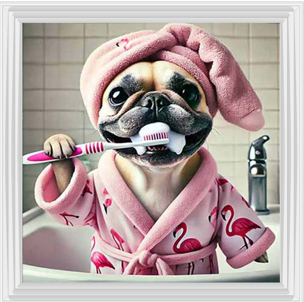 AN2196 Pug Brushing Teath