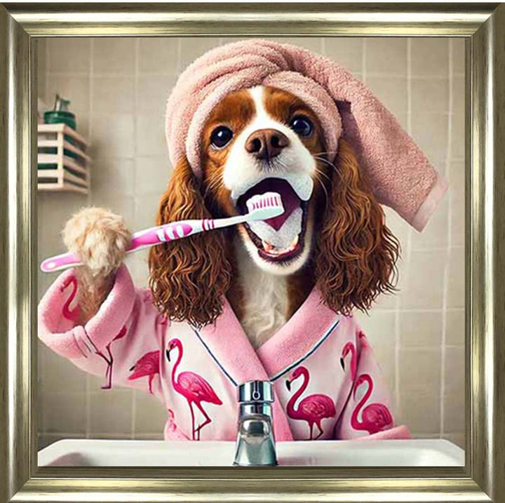 AN2197 Spaniel Brushing Teath