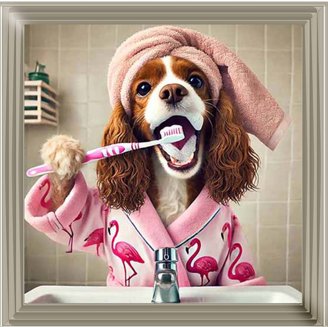 AN2197 Spaniel Brushing Teath