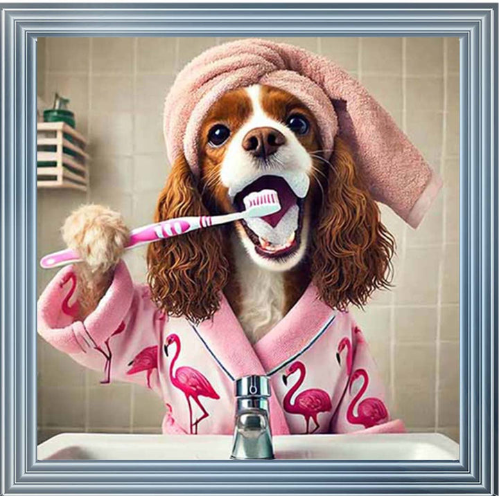 AN2197 Spaniel Brushing Teath