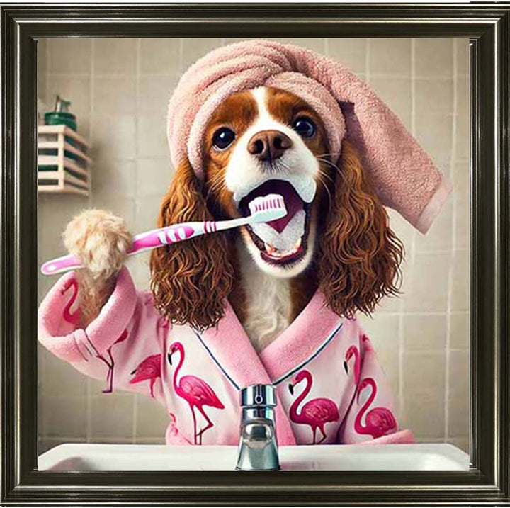 AN2197 Spaniel Brushing Teath