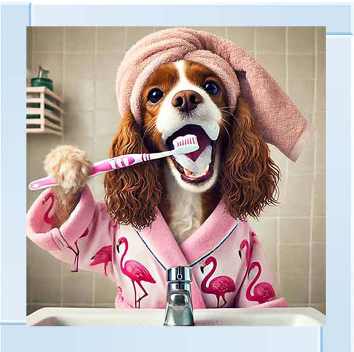 AN2197 Spaniel Brushing Teath