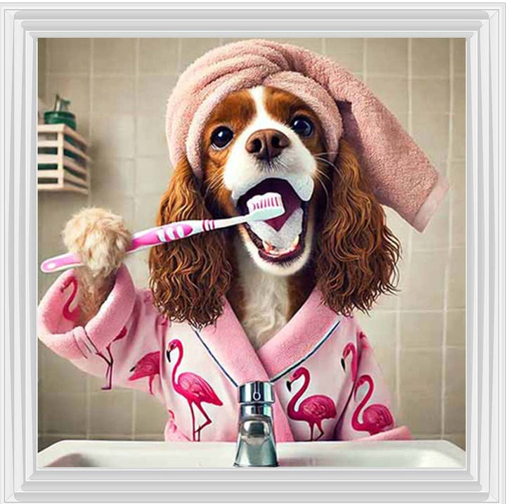 AN2197 Spaniel Brushing Teath