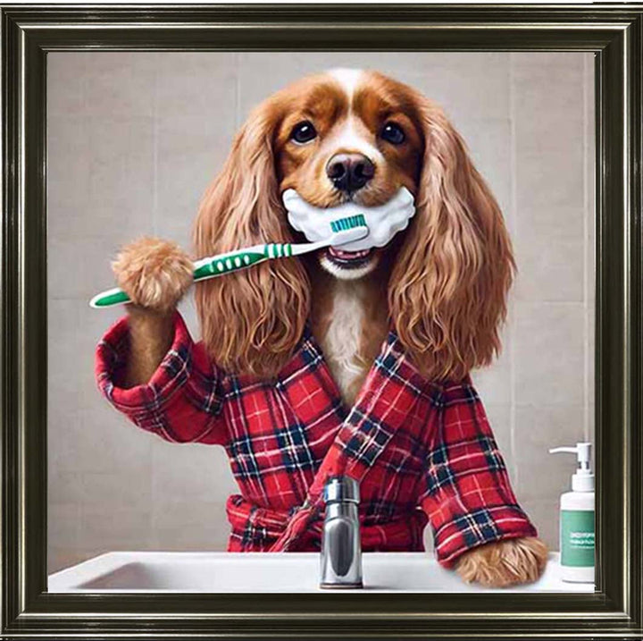AN2198 Gold Spaniel Brushing Teath