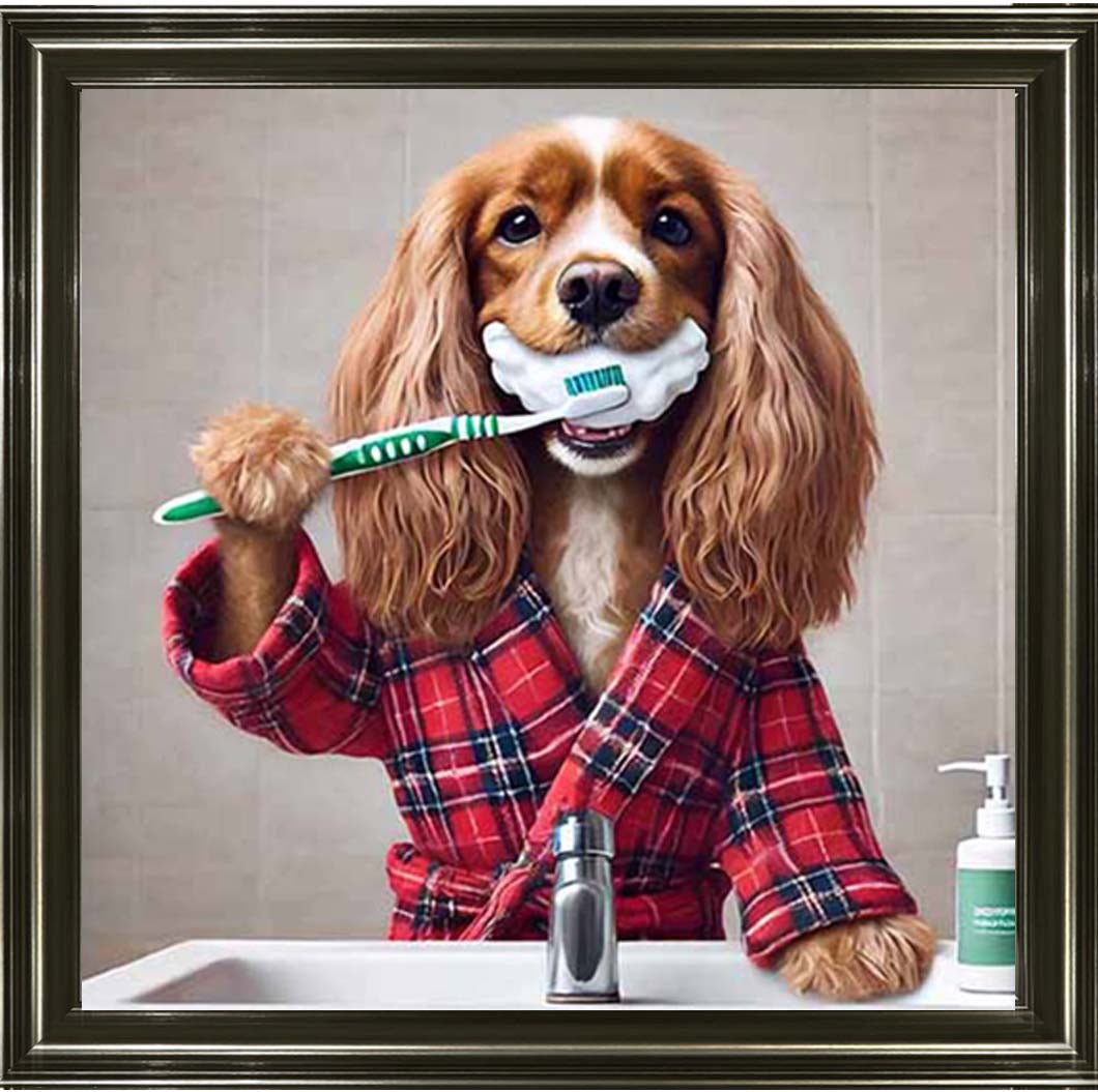 AN2198 Gold Spaniel Brushing Teath