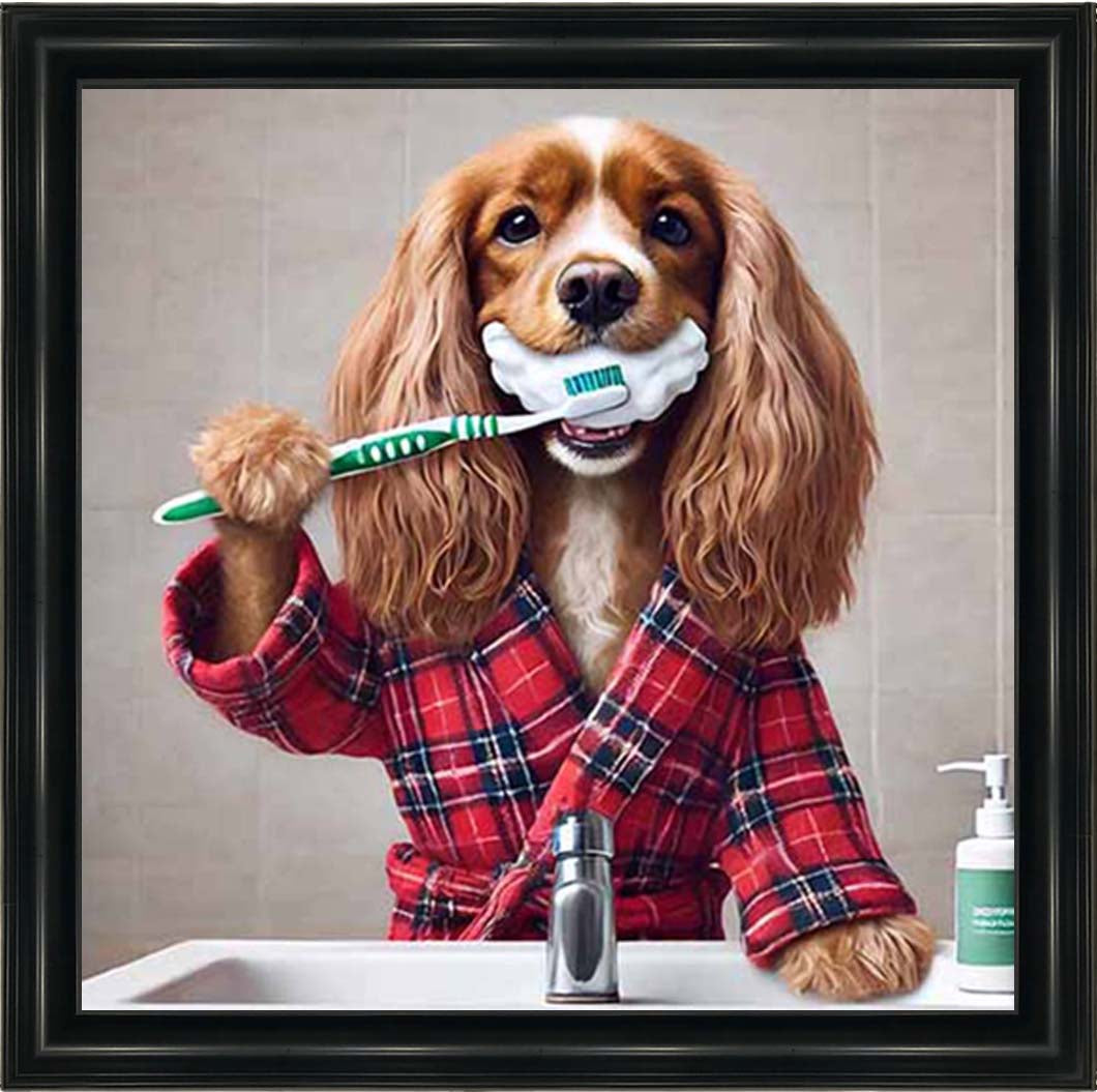 AN2198 Gold Spaniel Brushing Teath