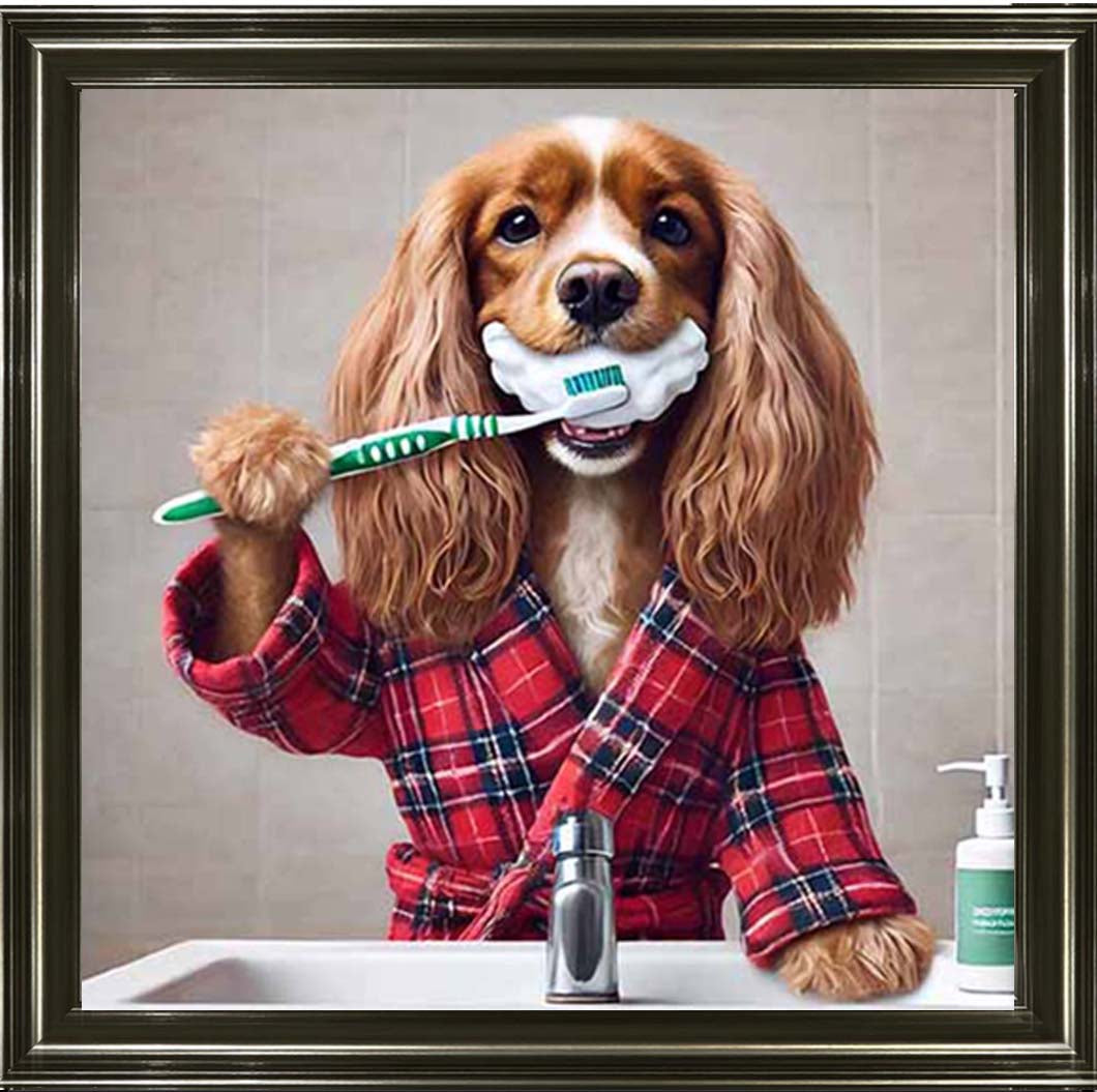 AN2198 Gold Spaniel Brushing Teath