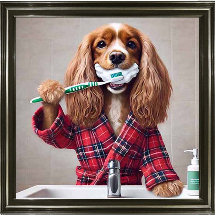 AN2198 Gold Spaniel Brushing Teath