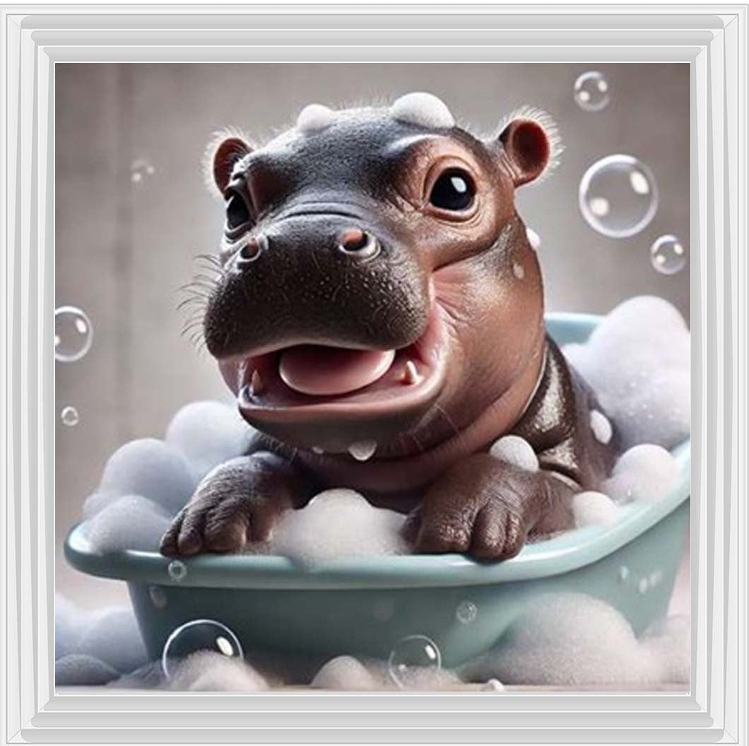 AN2203 Baby Hippo Enjoy Bathing