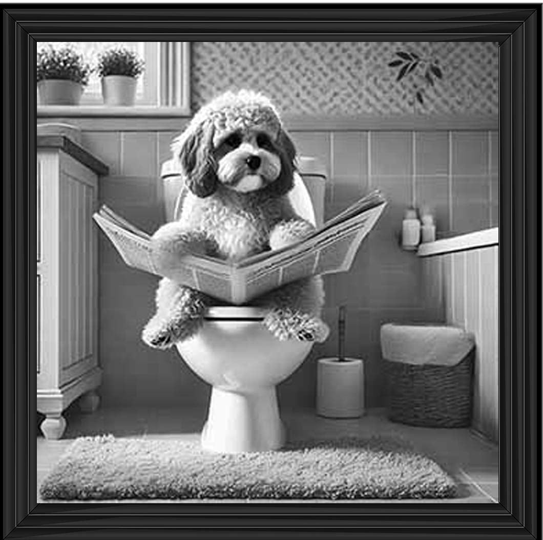 AN2207 COCKAPOO ON THE TOILET