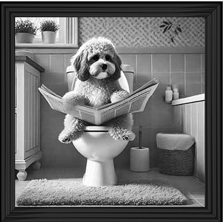 AN2207 COCKAPOO ON THE TOILET