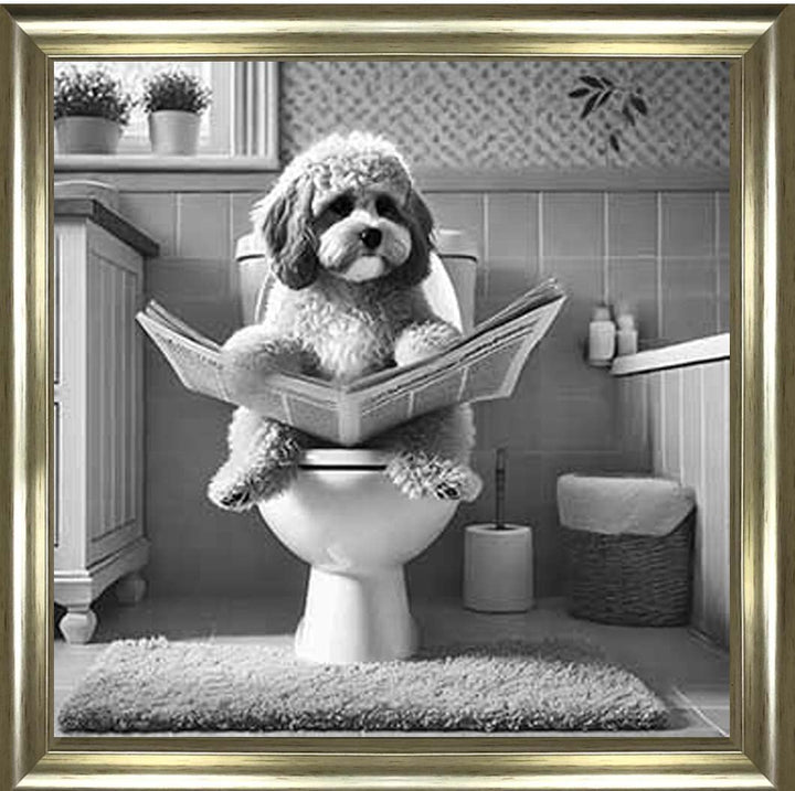 AN2207 COCKAPOO ON THE TOILET