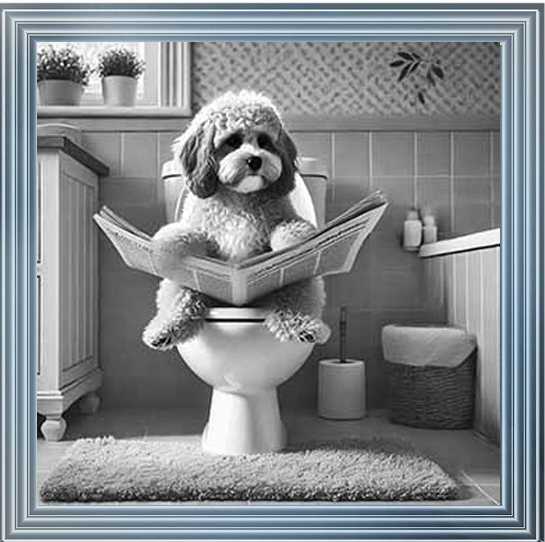 AN2207 COCKAPOO ON THE TOILET
