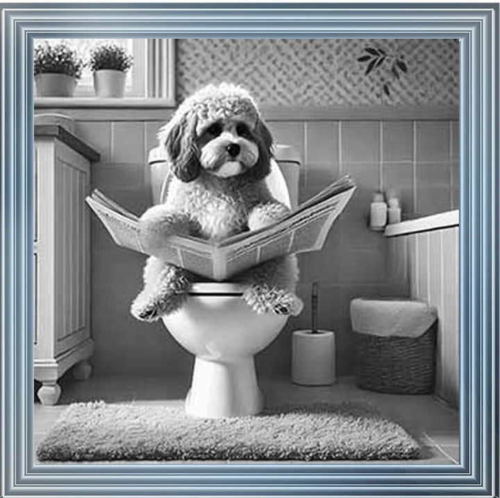 AN2207 COCKAPOO ON THE TOILET