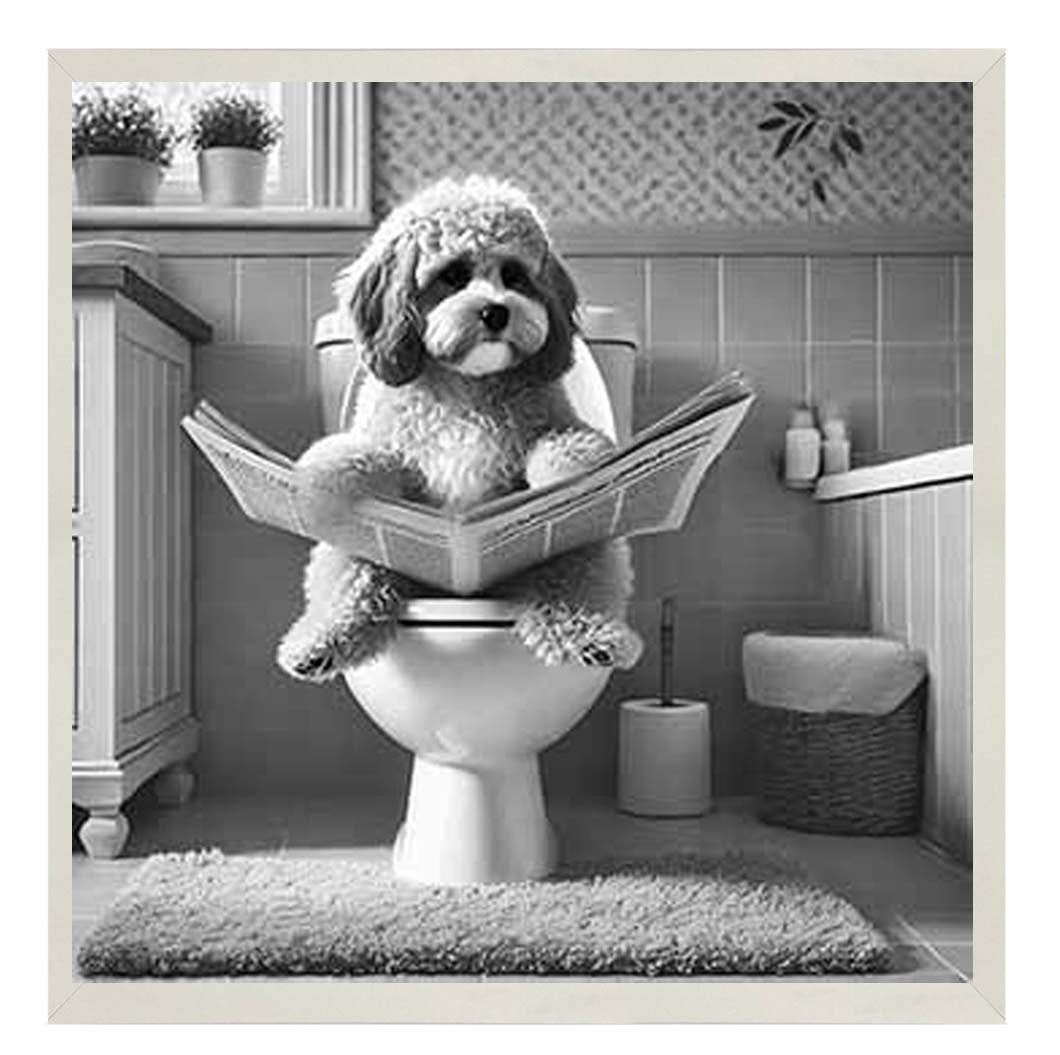 AN2207 COCKAPOO ON THE TOILET