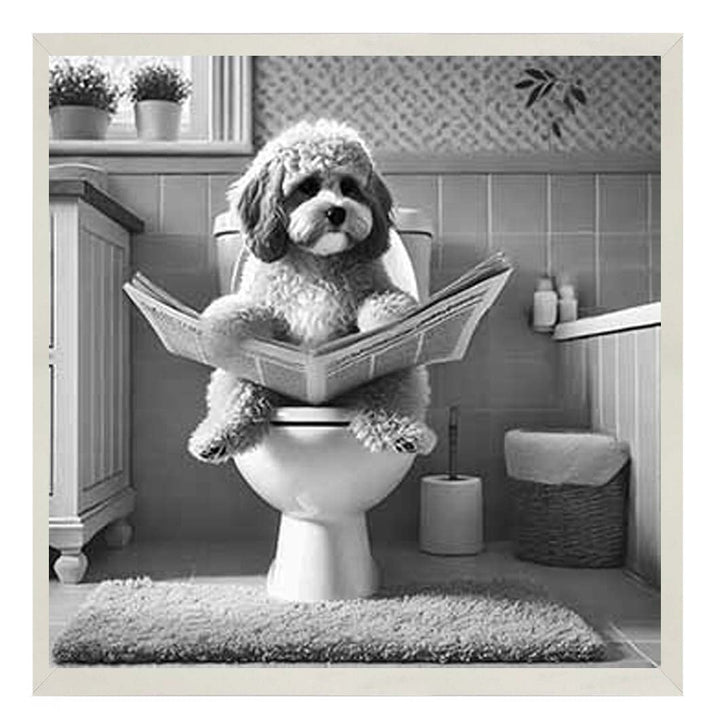 AN2207 COCKAPOO ON THE TOILET